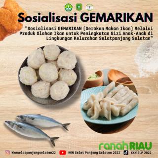 Mahasiswa KKN UNRI Sosialisasikan Gemar makan Ikan di Kelurahan Selatpanjang Selatan 